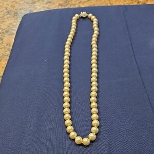 Elegant Cream Pearl Necklace